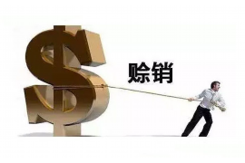 眉山专业催债公司的市场需求和前景分析